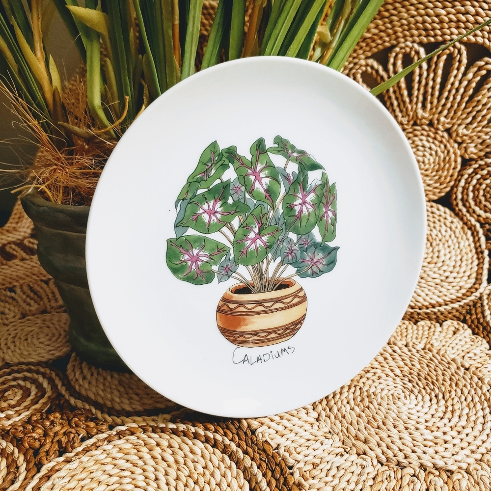 Enesco | Vintage Plant Study 1975 houseplant plate - Picture 4 of 8